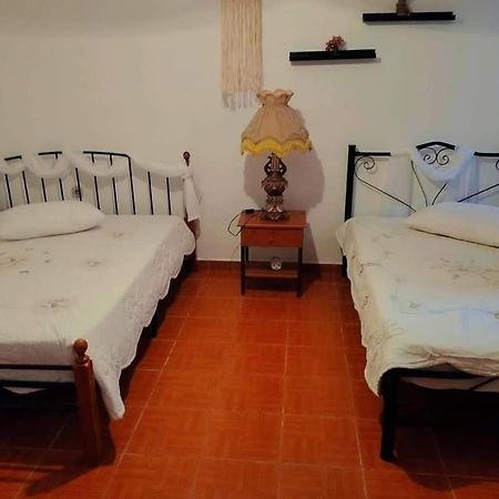 Villa Konstantina เนอา สกีโอนี ภายนอก รูปภาพ
