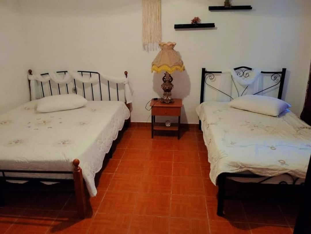 Villa Konstantina เนอา สกีโอนี ภายนอก รูปภาพ
